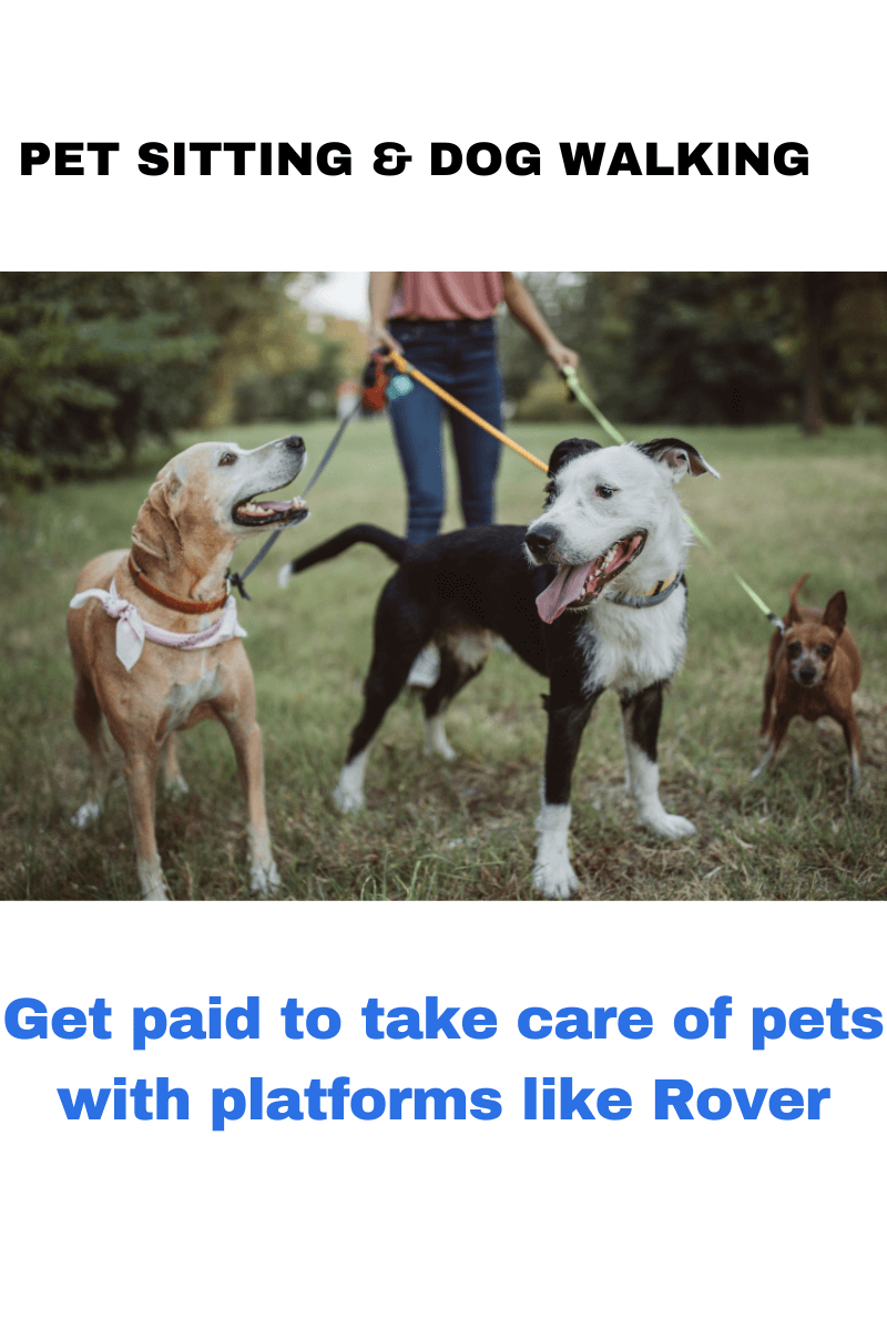 et sitting and dog walking services, earn money with Rover platform