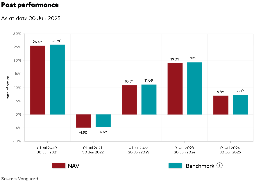 Bar charts showing annual NAV and benchmark returns for the FTSE Global All Cap Index Fund between 2020 and 2025, depicting the fund’s performance trend over the years.